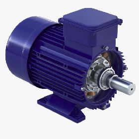 Electric Motor